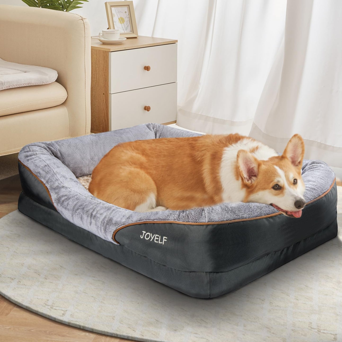 JOYELF Cama Mediana para Perros, Espuma Viscoelástica, Ortopédica y Sofá, Funda Extraíble Lavable, Incluye Juguete Chirriador